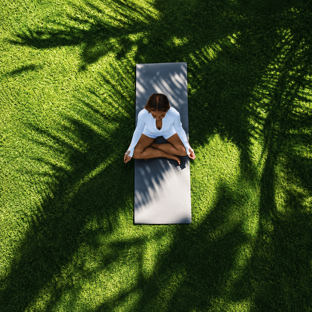 Mindful Sanctuaries